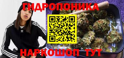 амф Лесосибирск