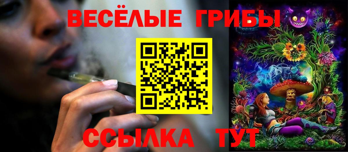 Углич  Галлюциногенные грибы Psilocybe  Вход с VPN 